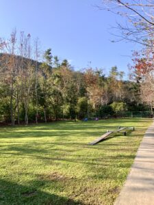 苗栗南莊麥克尼景觀莊園寵物草皮