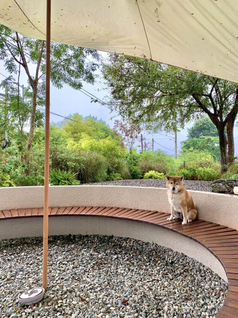 宜蘭光宅戶外環境和柴犬