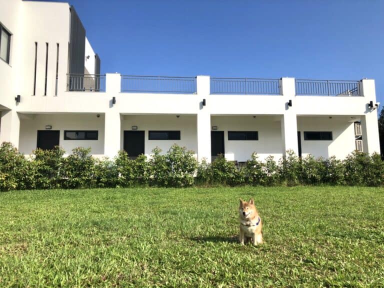 花蓮壽豐瑜舍民宿