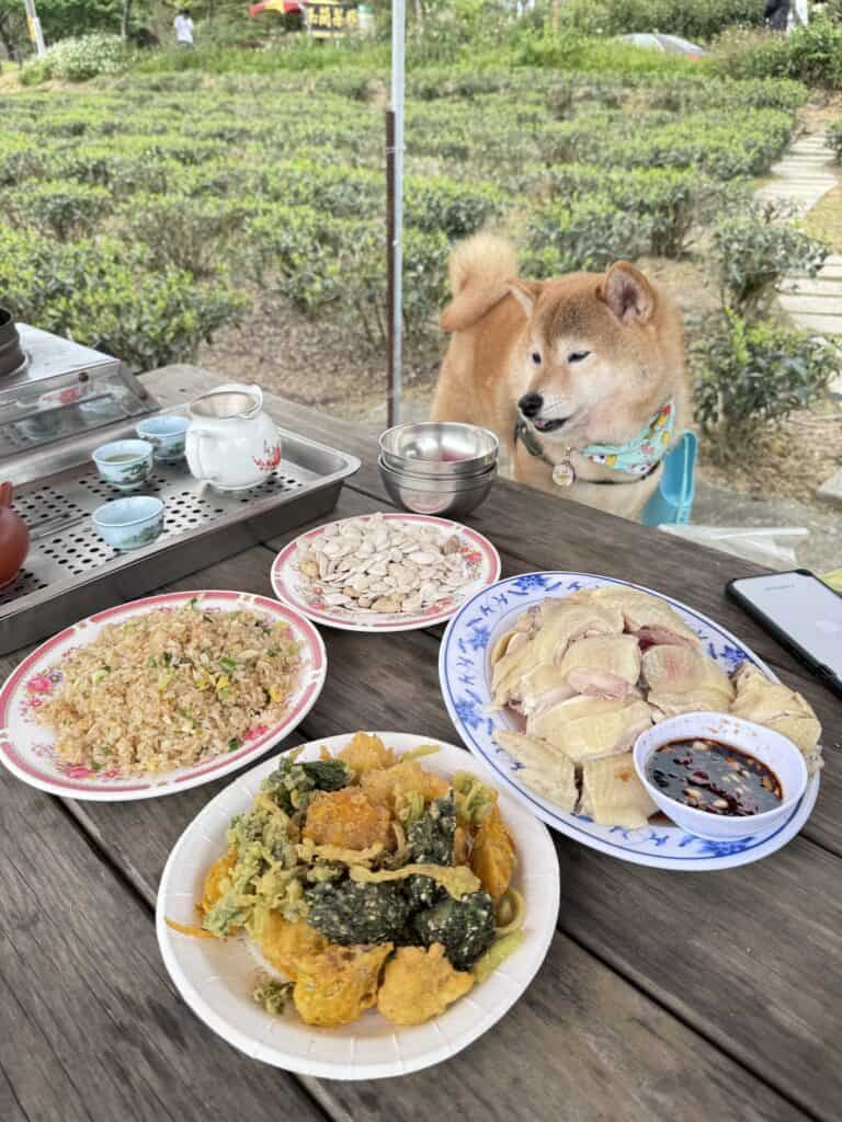 宜蘭大同鄉玉蘭茶園餐點白斬雞炸蔬菜炒飯